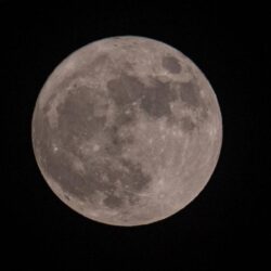 وزارة الصناعة والثروة المعدنية تصدر 93 ترخيصًا صناعيًا جديدًا