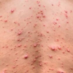 الهلال يختتم تحضيراته لدوري المحترفين بودية الباطن