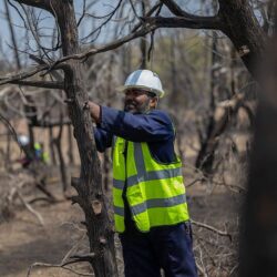 بتداولات 6.7 مليارات ريال .. مؤشر سوق الأسهم السعودية يغلق منخفضًا