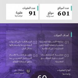 الصومال: مقتل 13 من «الشباب» في غارة أميركية