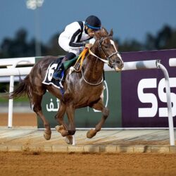 مجلس التعاون يدين الهجوم الإرهابي في العاصمة الصومالية مقديشو