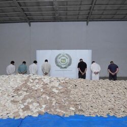 الأحوال المدنية: بطاقة الهوية الوطنية وسجل الأسرة هي المستند الرسمي لإثبات الشخصية