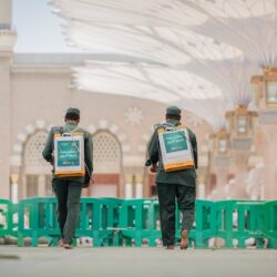 “البيئة” : حظر مؤقت على استيراد جميع أنواع القوارض من دول أفريقيا