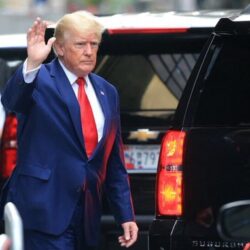 ثلث الطعام الذي نتناوله في خطر بسبب «الفراشات والنحل»