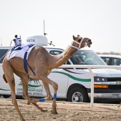 قيادات تعليم مكة تقف ميدانياً على استعدادات المدارس لاستقبال العام الدراسي الجديد 1444 هـ