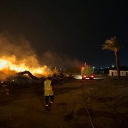 “لتبقى”: ضبط مؤشر الثلاجة يقلل استهلاك الطاقة ويحافظ على الأطعمة