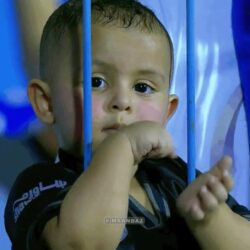 محافظ الطائف يدشن انطلاق القافلة الإرشادية الزراعية في نسختها الثانية