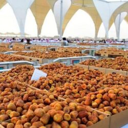 قائد القوات الجوية يُكرم طارق حامدي بعد فوزه بذهبية ألعاب التضامن الإسلامي