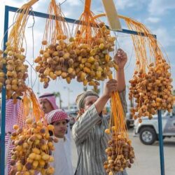 النائب العام يوجه بالقبض على مطلق النار في إحدى محافظات منطقة الرياض