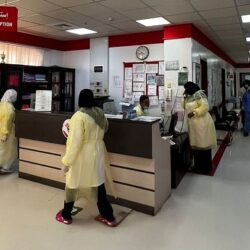 بلغاريا: ارتفاع درجات الحرارة يتسبب في حرائق