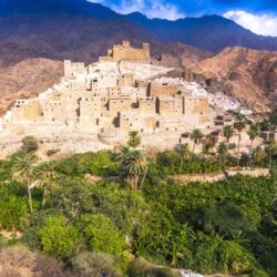 مصر تدعو إلى وقف إطلاق النار في غزة