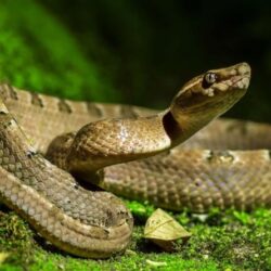 أكثر من 104 آلاف أسرة سكنت مسكنها الأول حتى نهاية يوليو 2022