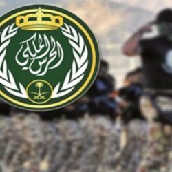 القبض على شخصين لترويجهما مادة الحشيش المخدر