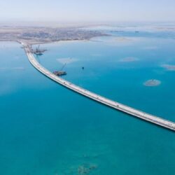 “بيئة الطائف” تقدم خدمات بيطرية متنوعة للمشاركين بمهرجان ولي العهد للهجن