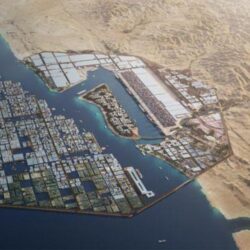 ‏‏ “نزاهة” تمنح “الولاية على أموال القاصرين” نسبة 100% في الالتزام