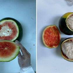 “الحج والعمرة” تدعو المعتمرين إلى الاستفادة من خدمات تطبيق “نسك”