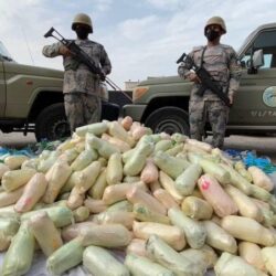 أمانة جدة تصادر 13 طنًا من الخضروات والسلع المتنوعة