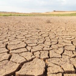 أمر ملكي: تعيين الأمير محمد بن سلمان رئيسا لمجلس الوزراء