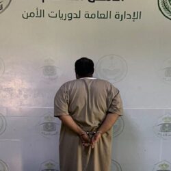 سمو أمير منطقة الباحة يستقبل مدير متحف الباحة الإقليمي وفريق متابعة المشاريع بهيئة المتاحف