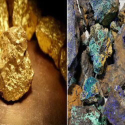 وزارة الصحة تعلن عن بدء مرحلة التصويت لجائزة وعي 2022