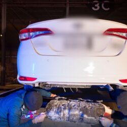 ولي العهد يرعى الحفل الختامي لمهرجان سموه للهجن غداً السبت