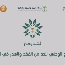 المؤتمر العربي للتقاعد والتأمينات الاجتماعية يوصي بتنفيذ سياسات واستراتيجيات التحول الرقمي