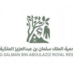 ضبط شاب وفتاة لمخالفتهما الآداب العامة بعسير