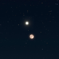 أمانة جدة تزيل 52 ألف إعلانًا عشوائيًا وتعالج الكتابات المشوهة للمظهر العام