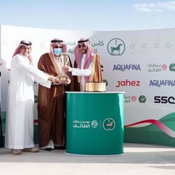 المملكة تستضيف القمة الأولى للدول العربية والأفريقية المطلة على البحر الأحمر وخليج عدن