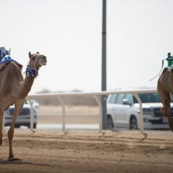 كانوا يخططون لشن هجمات إرهابية .. الأمن الوطني العراقي يقبض على 13 إرهابيًا في كركوك