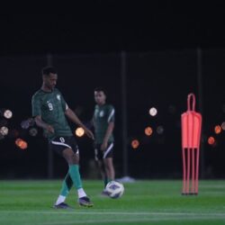 القبض على مقيم لنقله في مركبته (10) مخالفين لنظام أمن الحدود في جازان