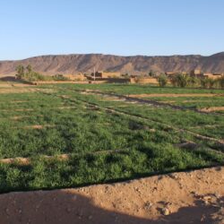 المملكة تشاركُ العالم الاحتفاء باليوم العالمي للإسعافات الأولية