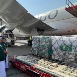 ضبط مخالفَين لنظام البيئة لقطعهما 9 أشجار في محمية الأمير محمد بن سلمان الملكية