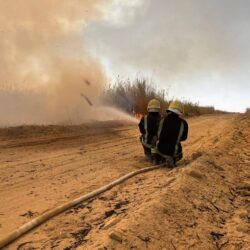 المملكة تتقدم 13 مرتبةً عالمياً في مؤشرات التعليم والمعرفة بتصنيف التنافسية الرقمية العالمي 2022