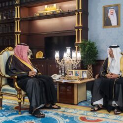 وزير الخارجية يرأس اجتماع اللجنة الوزارية العربية المعنية بمتابعة تطورات الأزمة مع إيران