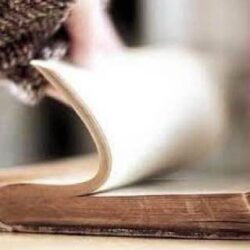 “وزارة التجارة” تُشهِّر بمواطن ومقيم بعد إدانتهما بجريمة التستر في المقاولات