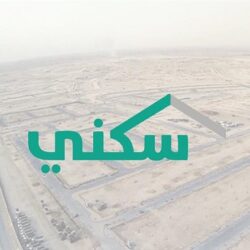 وكيلة وزارة الشؤون الإسلامية تحصد درع التميز كأفضل قائدة للتحول الرقمي