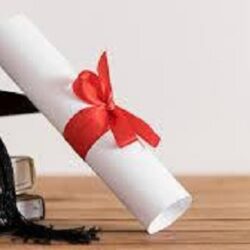 المرور تنصح بـ4 أشياء عند قيادة المركبات داخل الأحياء السكنية