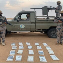 هيئة تطوير محمية الملك عبدالعزيز الملكية تختتم مشاركتها الثانية بمعرض الصقور والصيد السعودي الدولي