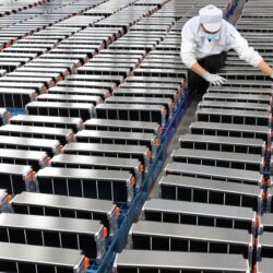 “البيئة” تنظّم زيارة لمربي الحمام اللاحم إلى فرنسا لتأهيلهم ومساهمتهم في تطوير القطاع