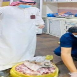 الأرصاد: سحب رعدية ممطرة مصحوبة برياح نشطة على هذه المناطق