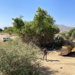 الصحة: تسجيل 310 إصابة جديدة بفيروس كورونا .. و 245 حالة تعافي