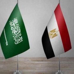 “المسموع والمرئي”: رصد 112 إعلانًا مخالفًا .. وإلغاء تراخيص مواطنين مكنوا مقيمين من ممارسة نشاط الإعلان