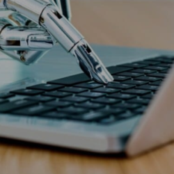 بالفيديو : ردم بئر مكشوفة في محافظة القنفذة