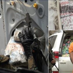 “البيئة” تبدأ منح تراخيص مراكز تسويق المنتجات الزراعية بأسواق النفع العام