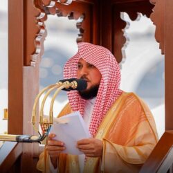 إحباط 4 محاولات لتهريب أكثر من 750 ألف حبة كبتاجون