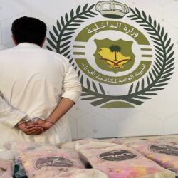 “الحبوب” تصرف مستحقات الدفعة العشرين لمزارعي القمح المحلي