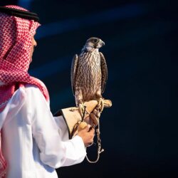 البنتاغون: القوات الروسية الآن في حالة «انحناء دفاعي»