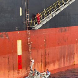 “التجارة”: 8 خطوات لتعديل الاسم التجاري إلكترونياً