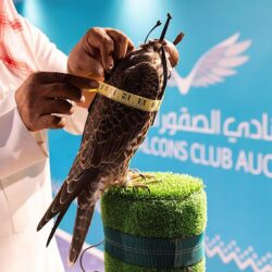 رابطة العالم الإسلامي تدشّن حملتها لإغاثة الشعب الباكستاني